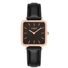 Neliö Square Vegan Leather Rose Gold/Black/Green Watch Hurtig Lane Vegan Watches